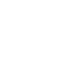 Branding icon