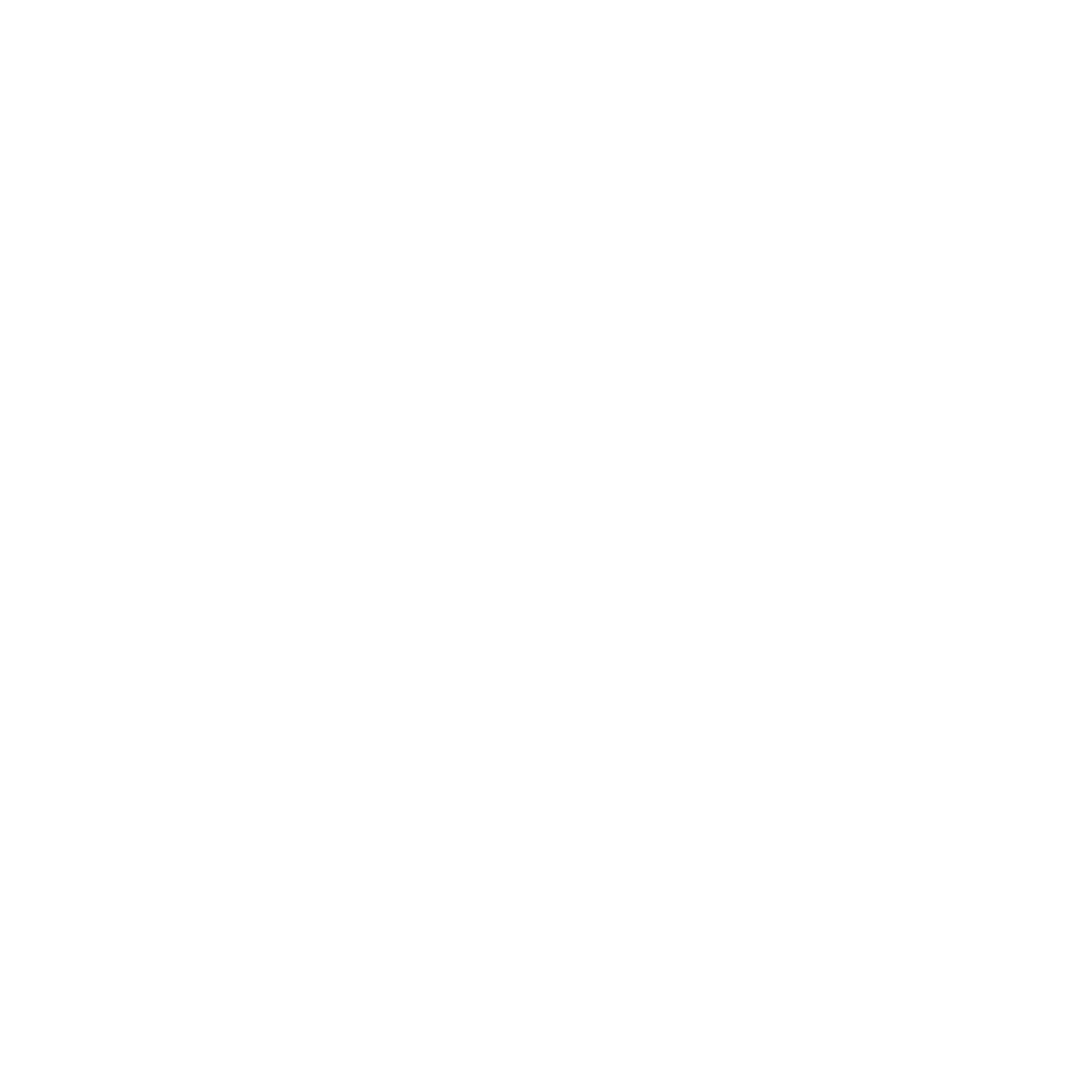 Public Relations icon