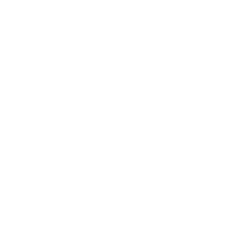 Web & Mobile Apps Development icon